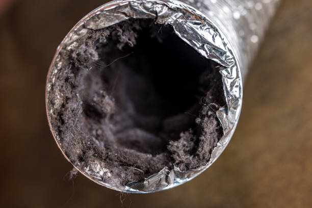 Best Air Duct Cleaning Company Near Me  in Marion, VA